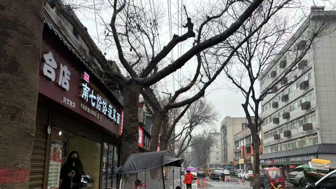 西安小巷里的苍蝇馆子 主打一个好吃 外加生冷倔噌