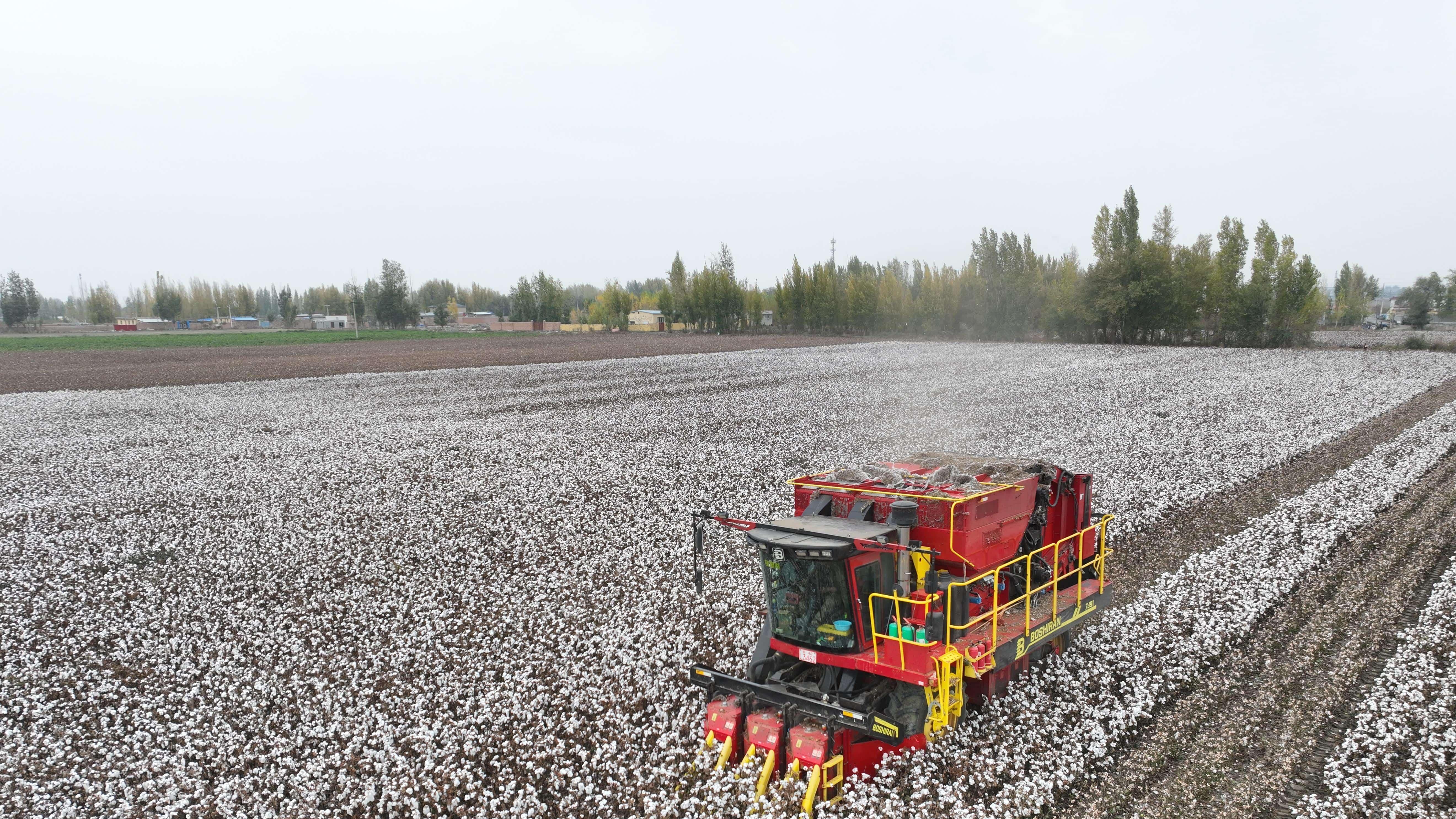高效全能，棉田王者！钵施然采棉机重磅来袭