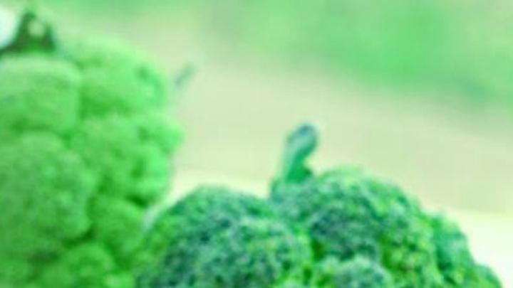 有机农场堆肥技术优化，土壤深耕改善板结，西兰花生长监测与冷库通风管理