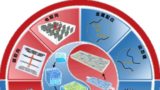 浙江大学赵骞团队综述：水凝胶取向结构构筑方法及响应变形行为的研究进展
