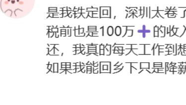 互联网夫妻档：深圳年薪128万，武汉有房，面临回乡降薪15%的选择，是否值得？