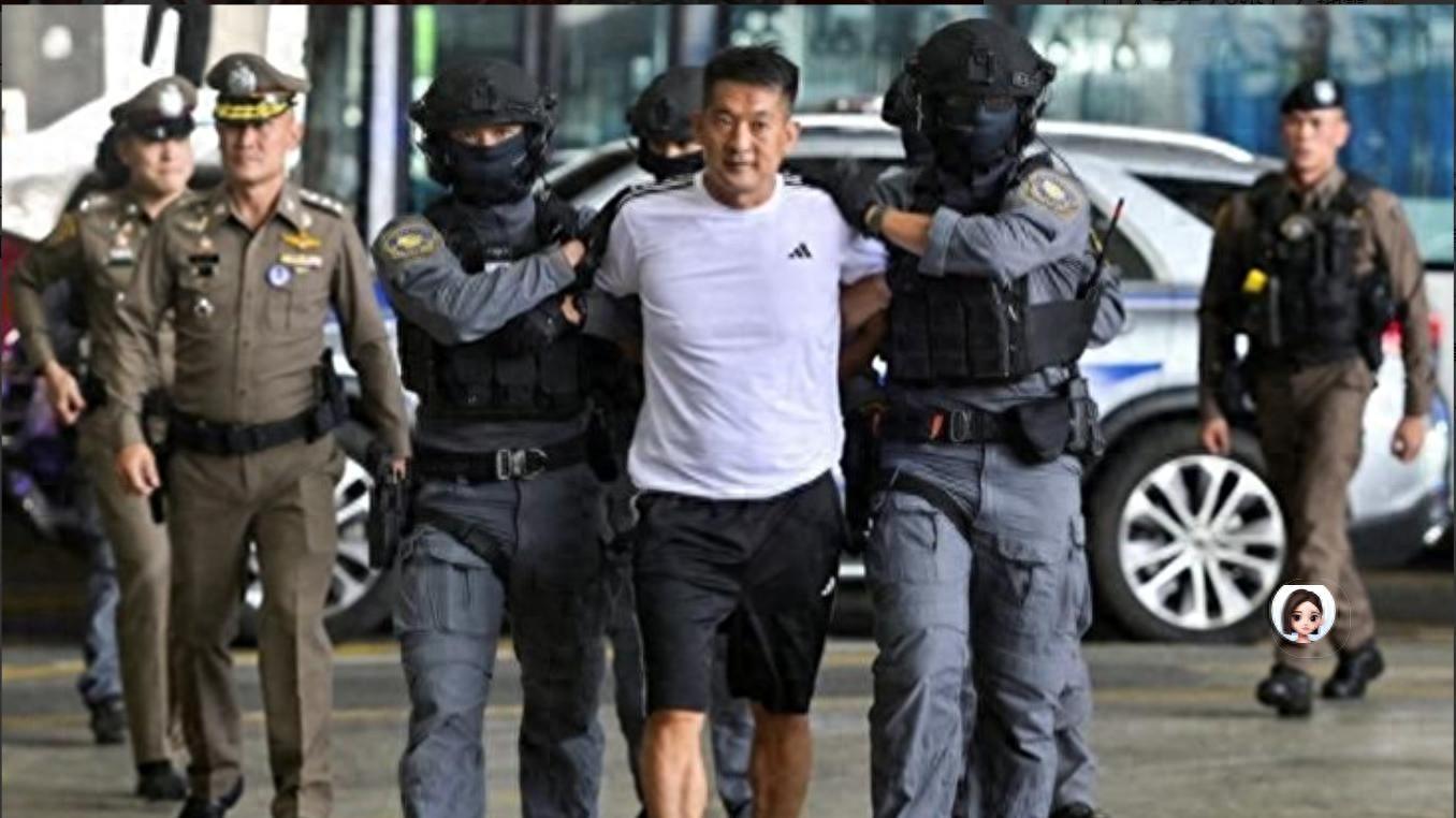 拔出萝卜带出泥！49岁赵薇近况被曝，原来圈内封杀只是冰山一角