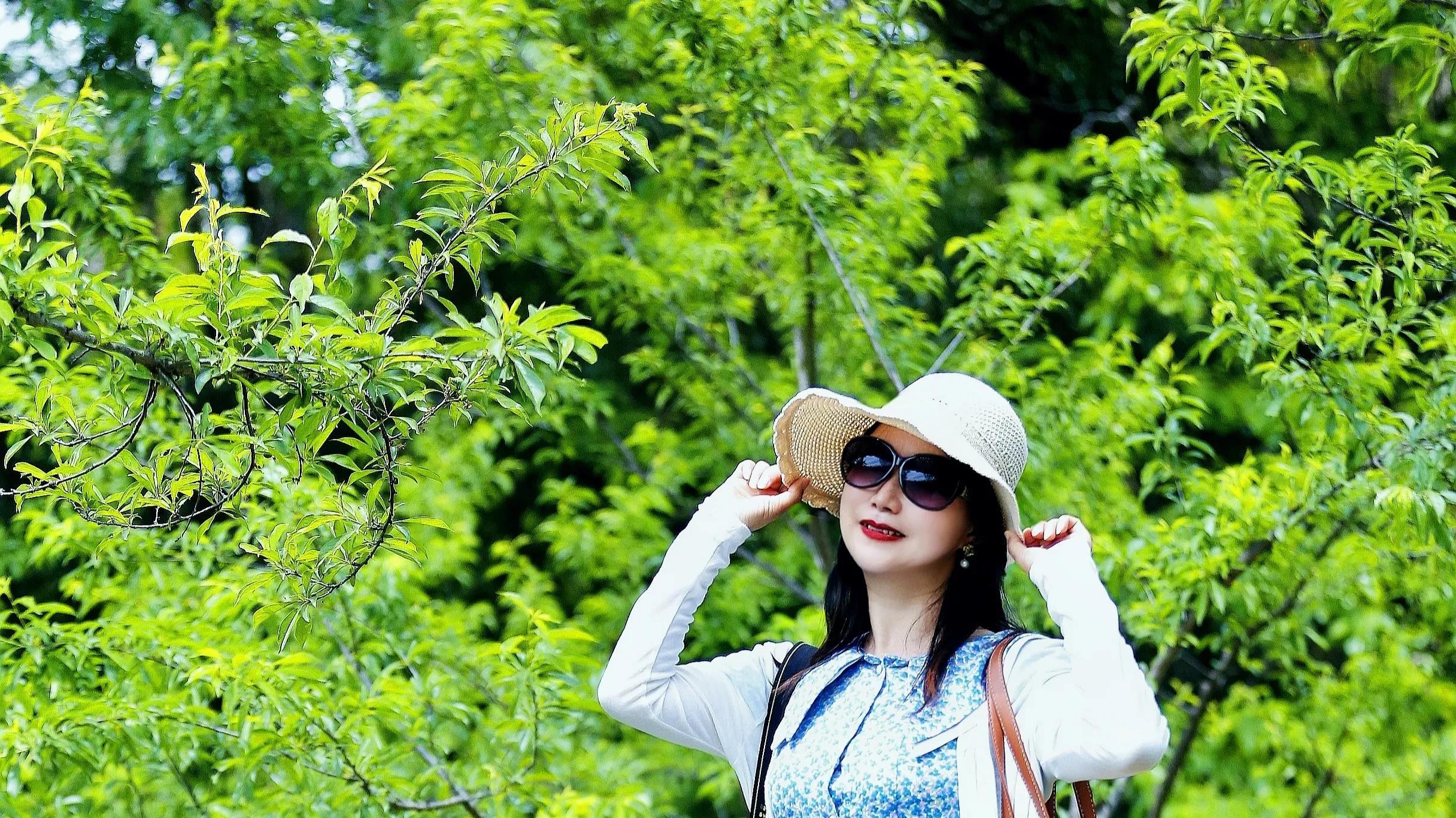 四月秦巴山区茶旅攻略！闯入云端茶园的神仙玩法