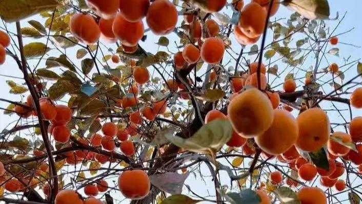 写给刚毕业的自己（一）----原创