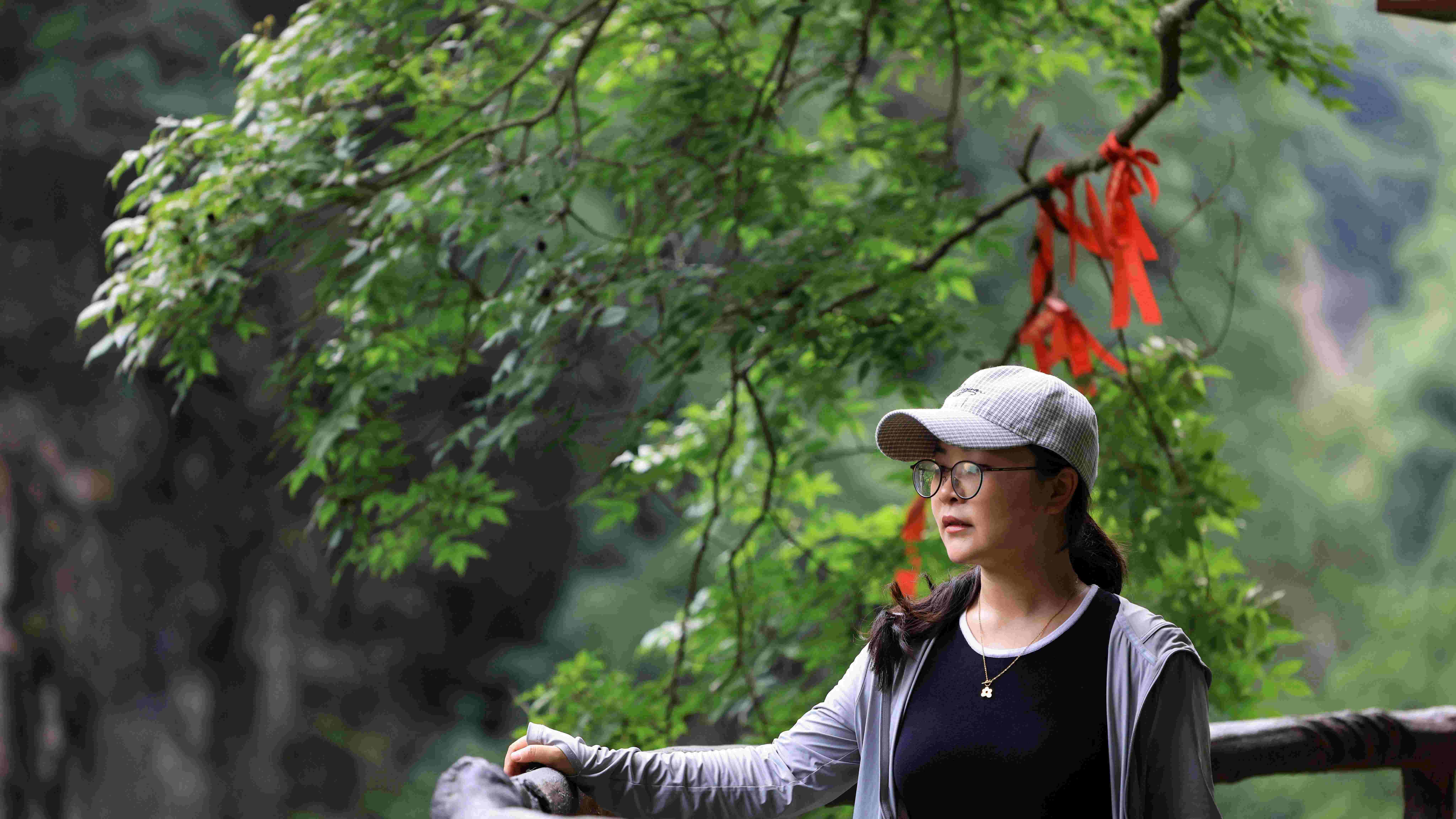 索桥震颤飞瀑鸣，洒金谷里听山水心跳