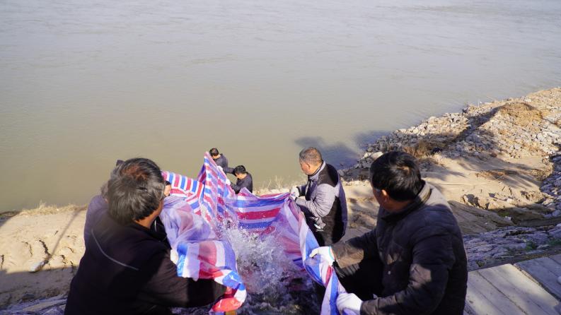 30万尾鱼苗渭河“安家”