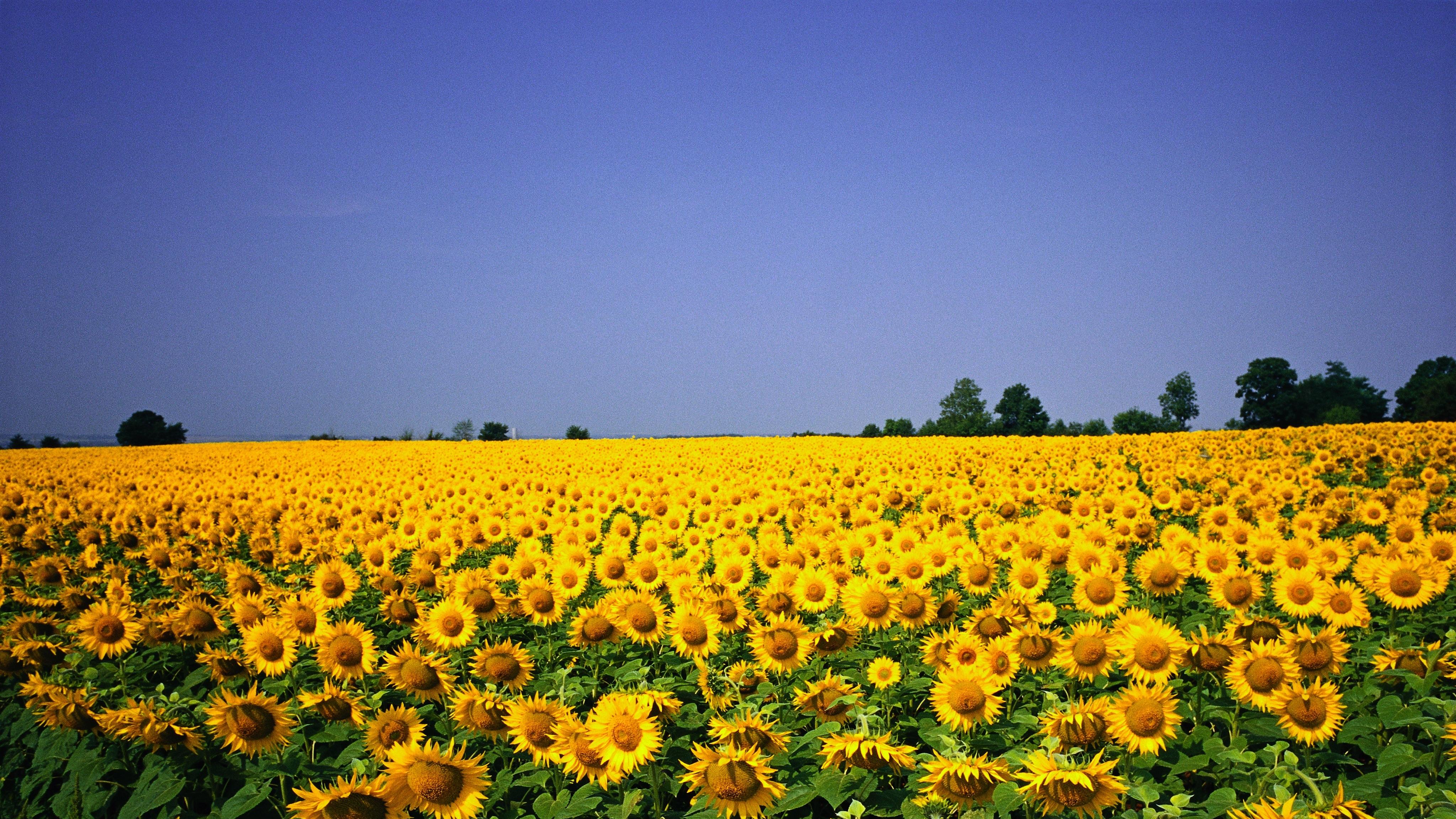 重塑业务组合并非易事