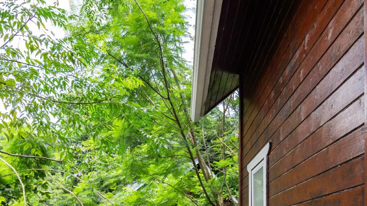 🦌英德人有自己的奈良，🌲森林里的亲子乐园