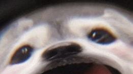 紧急预警！2025年数字人民币四大骗局全解析，守住你的钱袋子