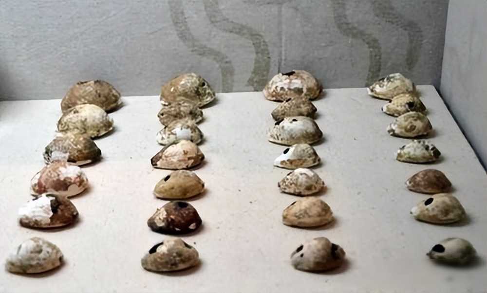 文明从未断线：三星堆衰落背后，是资源耗尽还是权力转移？