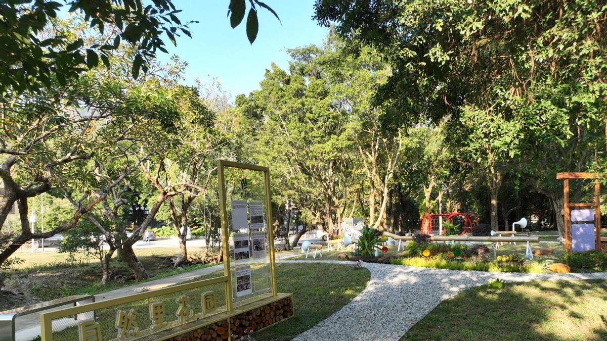 绿美金龟：口袋花园绽放四季，共建共治织就花香社区