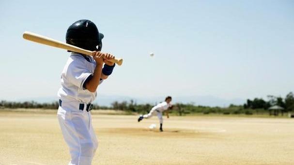 棒球动态平衡强化课程，沿海台风季备战，职业全明星赛，守备失误率降18%