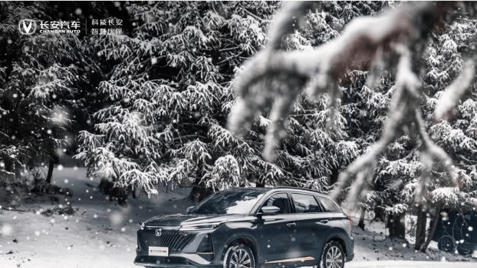 你了解守护之神安全带吗？