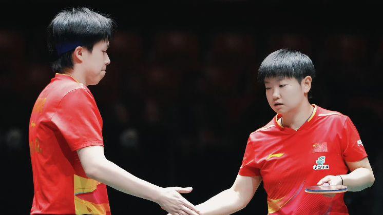 混团世界杯决赛：国乒六大主力登场！林诗栋、王曼昱迎战张本兄妹