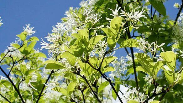 解码2025中科院生命医学新院士：13位顶尖科学家的科研人生与学术丰碑