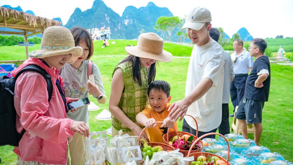 峒那屿湾举办“非常侬峒 果燃金秋”活动 推动壮乡文化与生态旅游深度融合