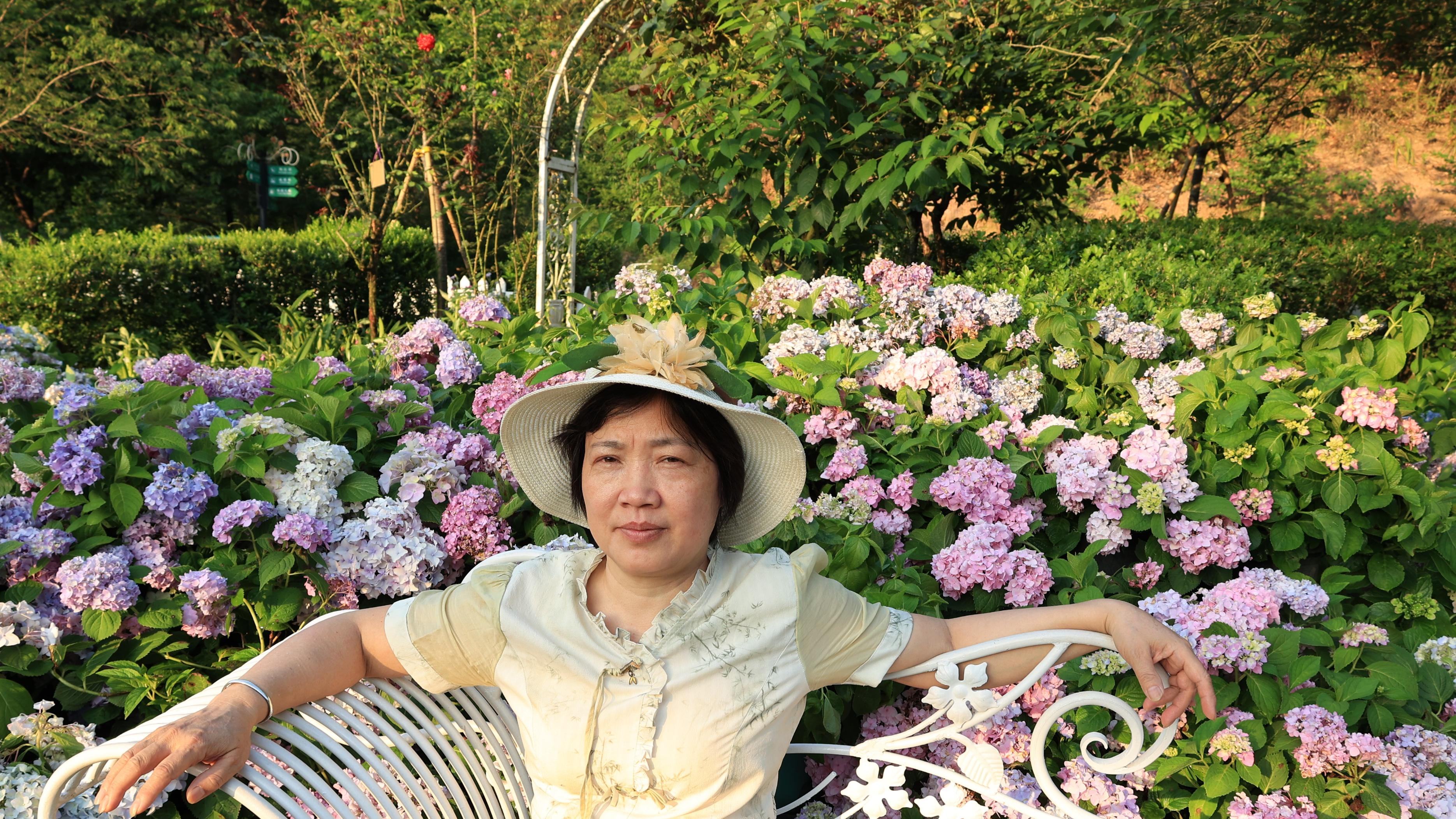 梅州城北的绣球花盛开了，美不美你说了算