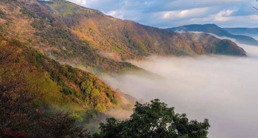 家电国补将延续? 海信美的否认传闻，华帝九阳莱克松下苏宁有变