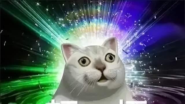 进率土家族居然要先做题？100分送月卡140分还送周边！？