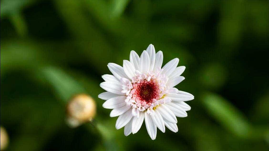 巨蟹座5月好运眷顾，贵人提携，和气生财，工作爱情双收