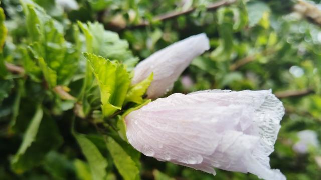 想让孩子不沉迷手机，家长只吵和讲道理完全没用，调整两点很关键