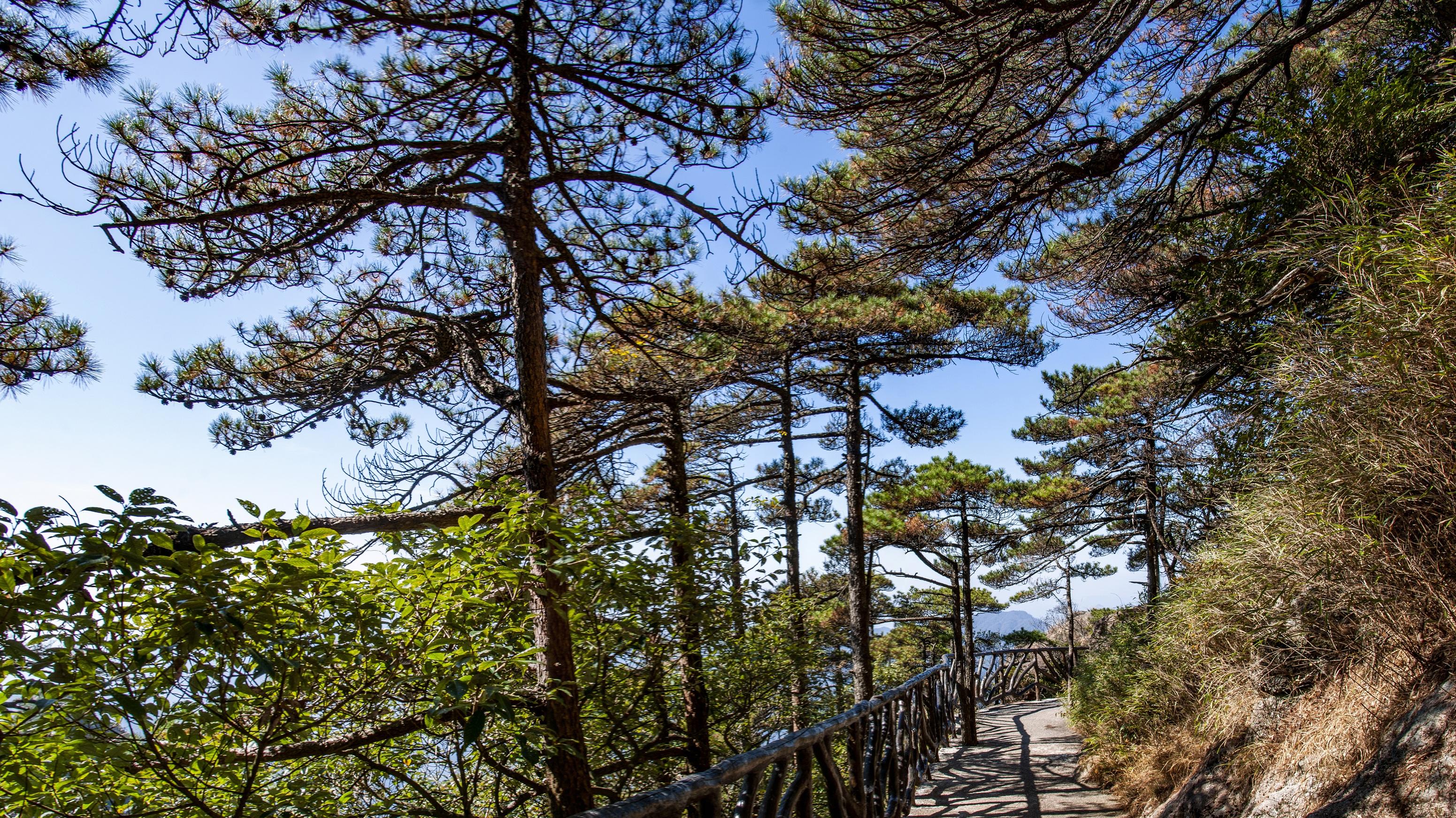 绿色转型四重奏