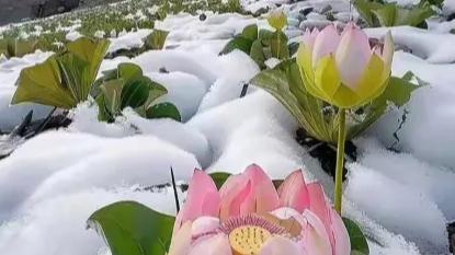 老伴走了后，我想去儿子家养老，他们连忙拒接，这时女儿：爸，你来我们家住吧，您一个人在家，我不放心。