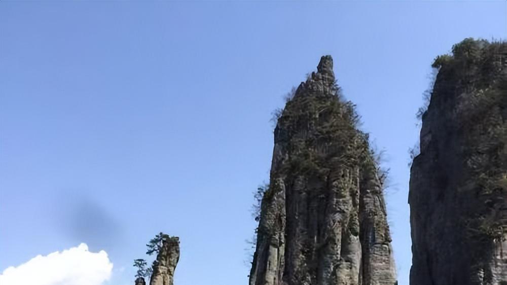 《玉石论坛63》央视付小明谈天然树化玉造型金鳞玉女峰亮瞎你的眼