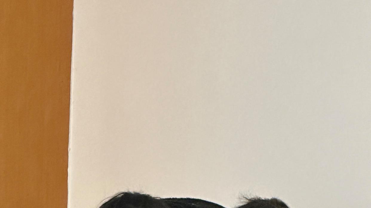 专升本倒计时5个月的复习规划！