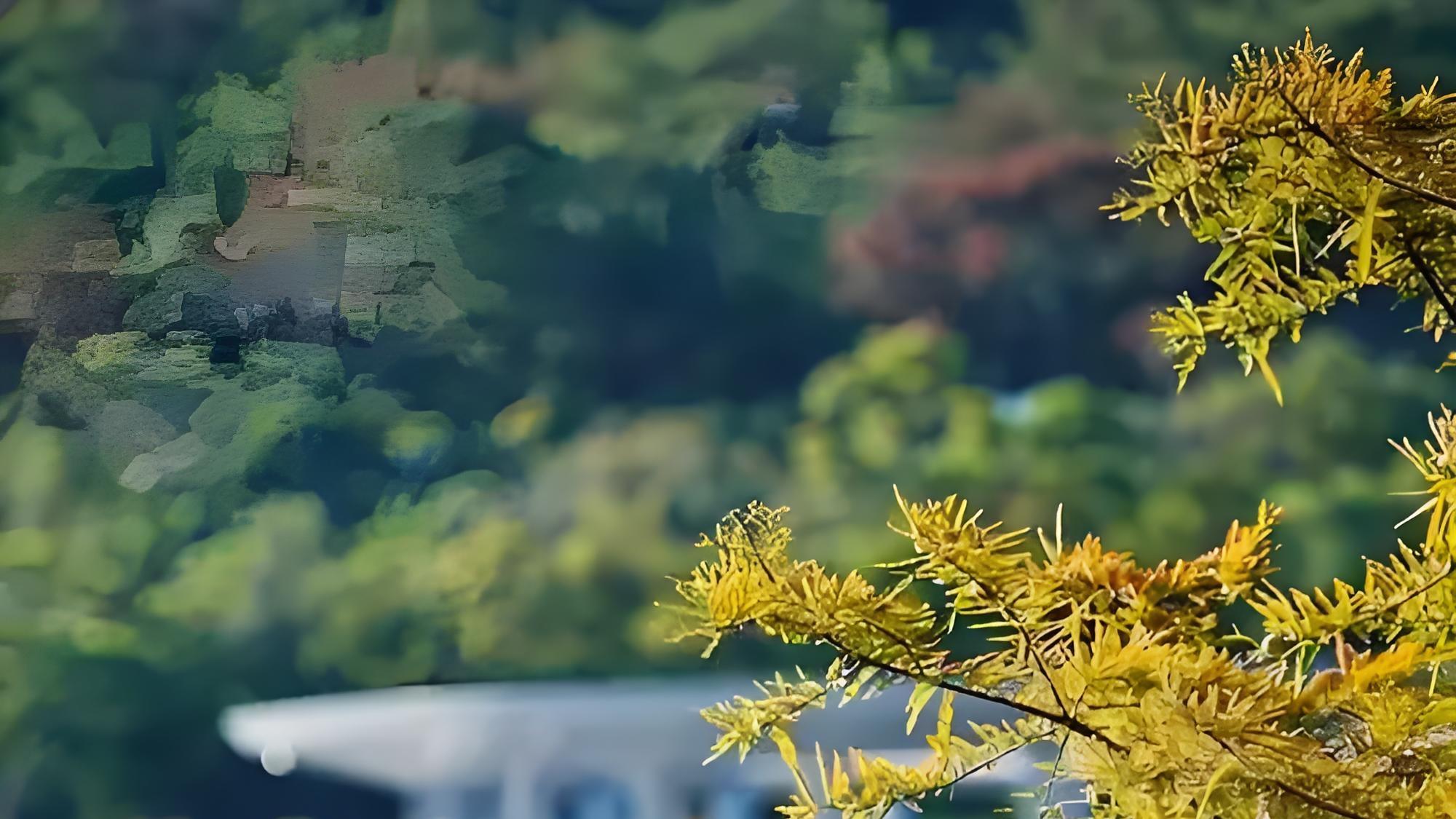 做人，不需要人人都喜欢。你认同吗?