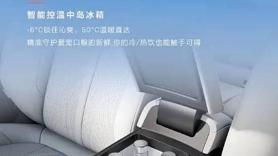 内饰配置再提升 新款极氪X内饰官图发布