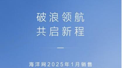 中国销冠，比亚迪1月销量超30万辆，出口量飙升83.4%