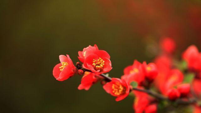 婚姻和谐的秘诀：独立与扶持的平衡之道