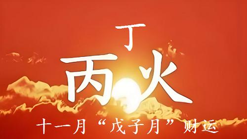 日干丙丁火，2025乙巳年，十一月“戊子月”财运