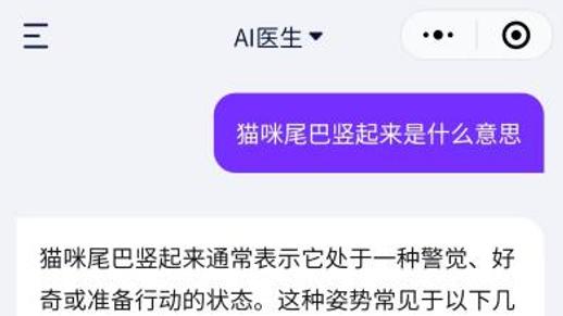 怎样和猫交流？听懂猫的话全攻略，解锁毛孩子的无声告白