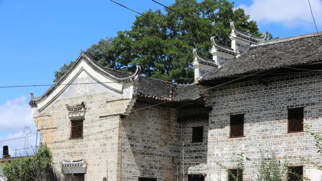 资兴丨这个夏天，香花树下有人家