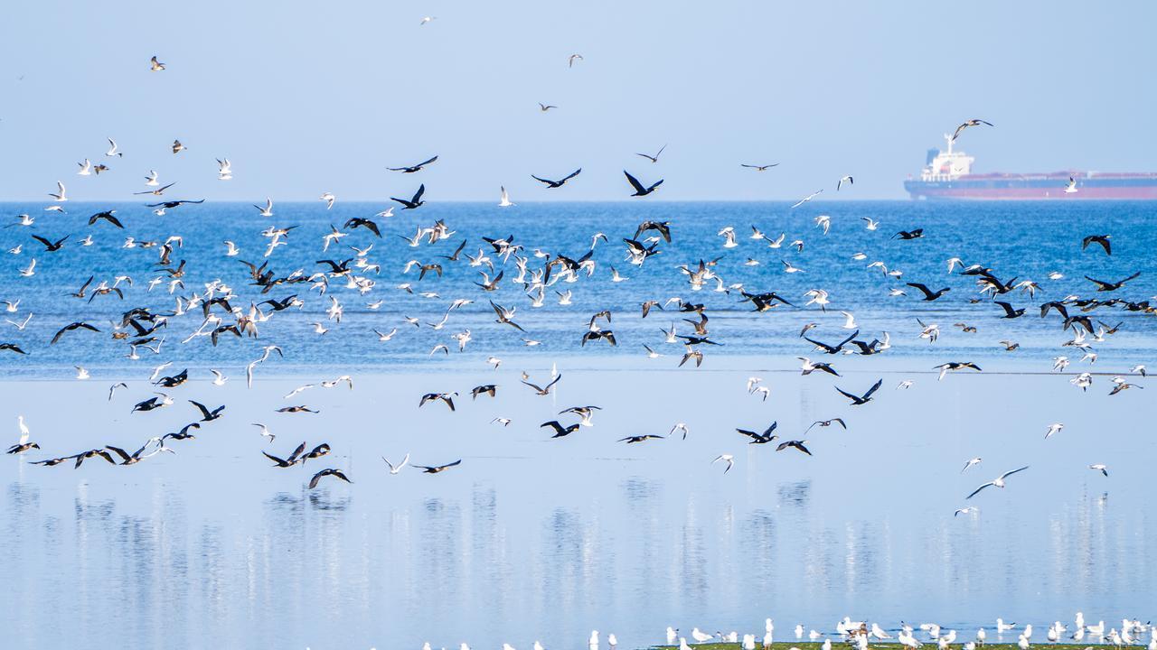 在单位上班，讲话语速要慢！