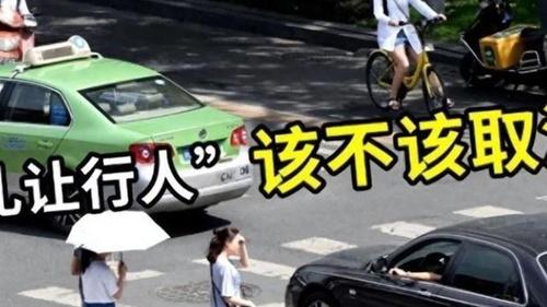 礼让行人被叫停？专家的建议获认可，车主怒赞：就得这么改