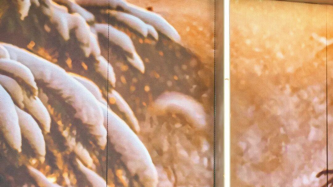 广州市中心甜蜜预警！在漫天飘雪的奇遇森林，和姜饼人共度双旦