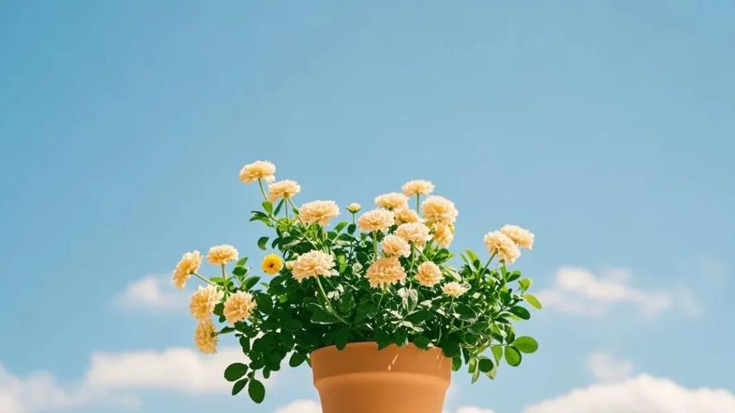 过年回来才发现：这几种迹象说明兄弟姐妹缘分已近尽头