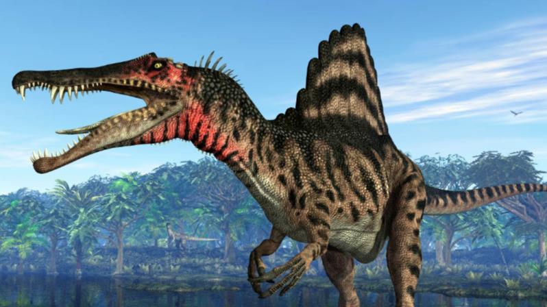 棘龙真的如电影中那么厉害吗？别被电影骗了！