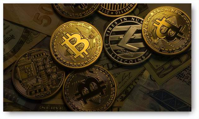 那一夜，我差点用5000万学费“干掉”公司：一个CFO的惊魂180天