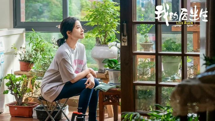 国产剧《我的后半生》全集36集大结局免费高清在线观看-VS影院