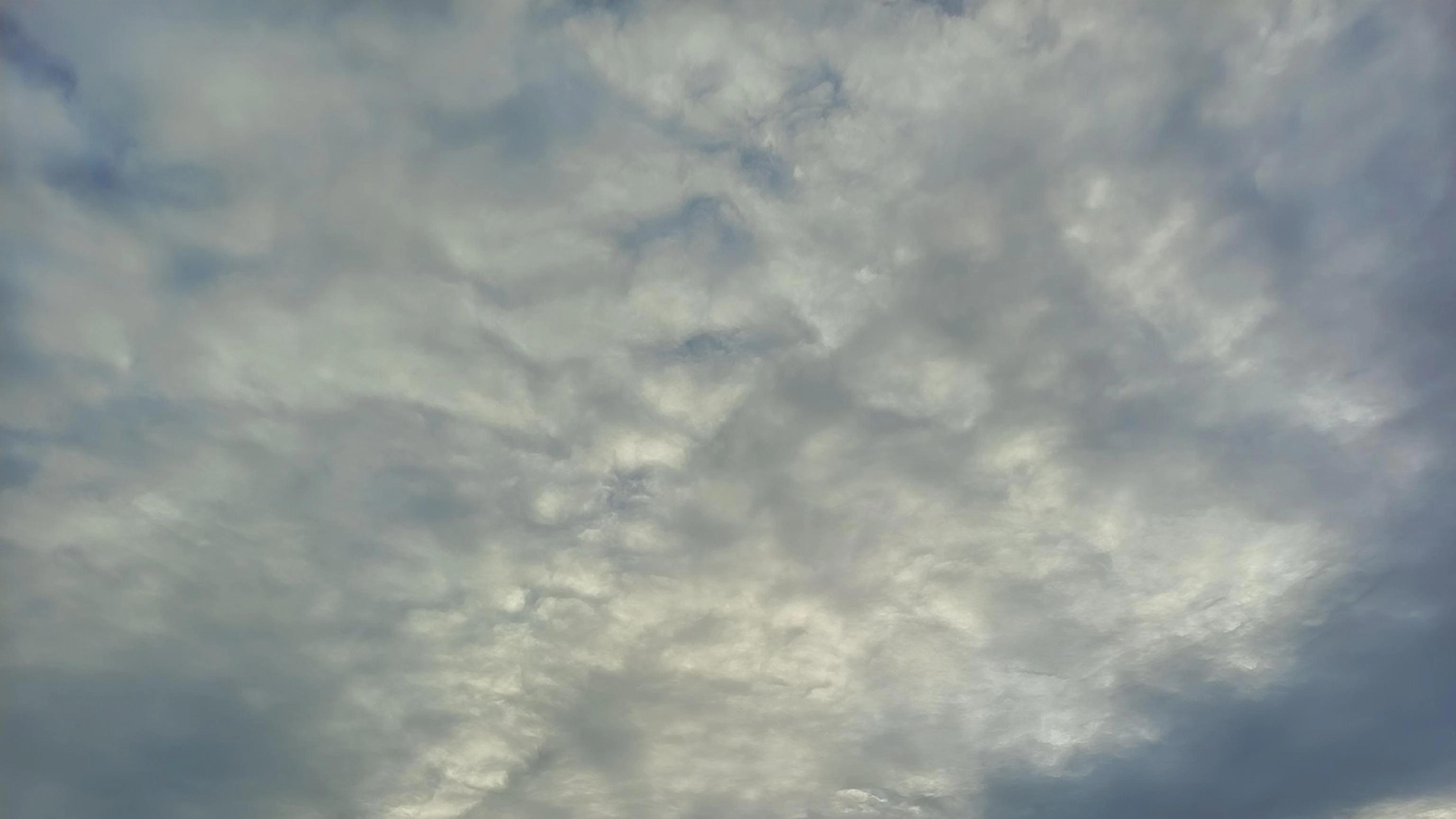 那晚给你点了外卖