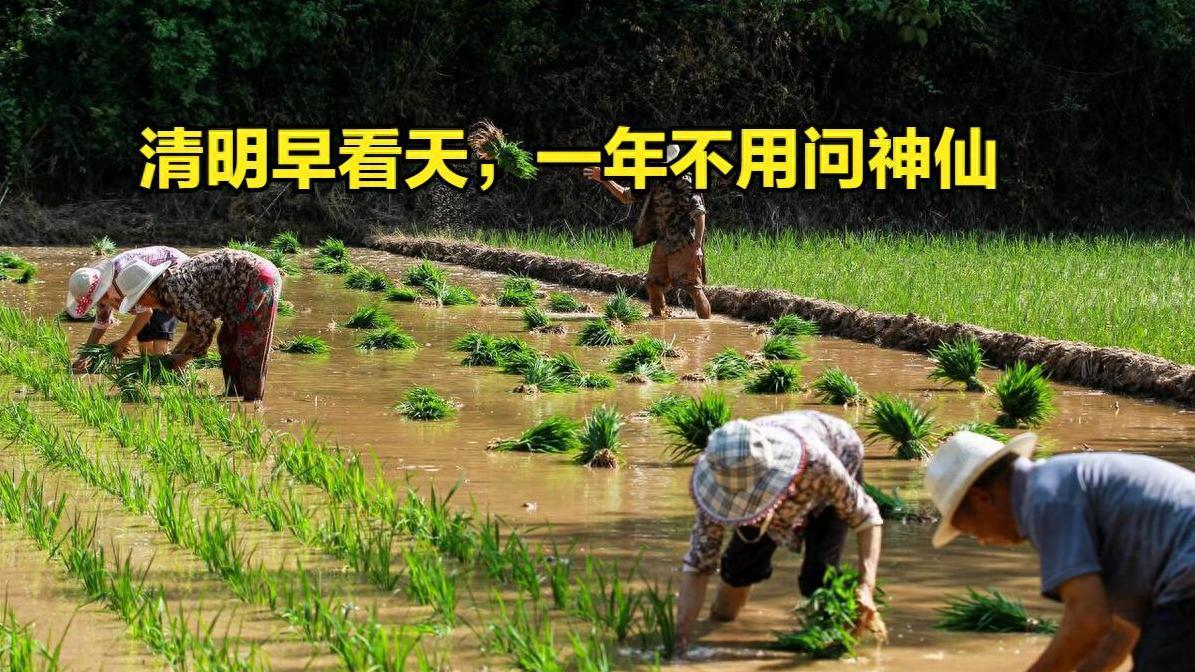 清明节的时间和传统习俗