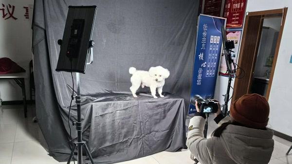 多元活动齐推进，共绘文明养犬新画卷