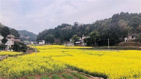 家乡变旅游城的新奇
