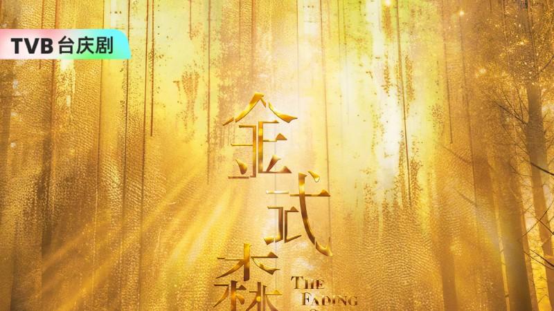 TVB台庆剧《金式森林》埋堆堆、粤视厅TV热播中：探讨家族与人性质感获赞
