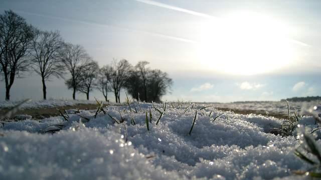“麦盖三层被，来年枕着馒头睡”不是迷信，是祖辈的生存智慧