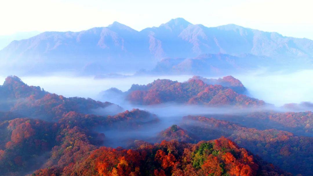 四川光雾山：中国红叶第一山的最后绚烂